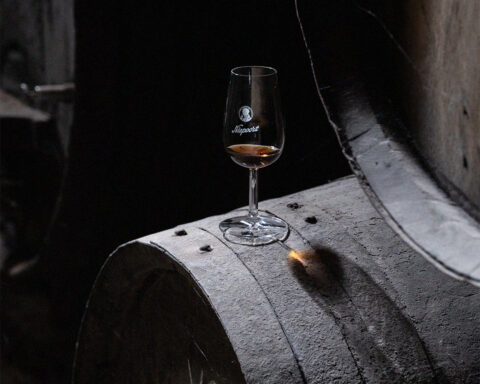 Copo de vinho tinto sobre barrica de madeira numa cave de envelhecimento.